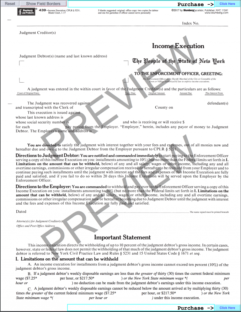 new-york-enforcement-of-judgements-blumberg-form-439-income-execution